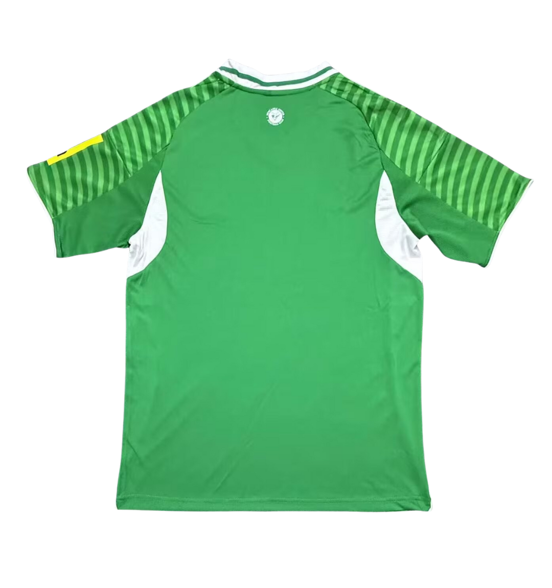 Newcastle United 2025/2026 Away