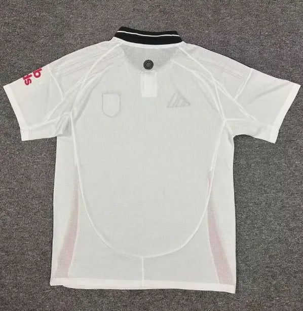 Fulham 2024/2025 Local