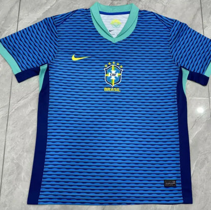 Brasil 2024 de visita