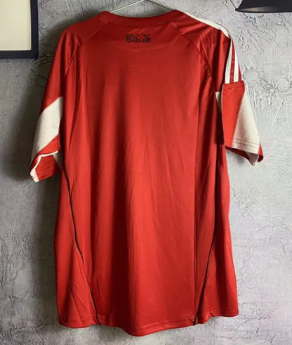 Retro local del Bayern Múnich 2010/2011