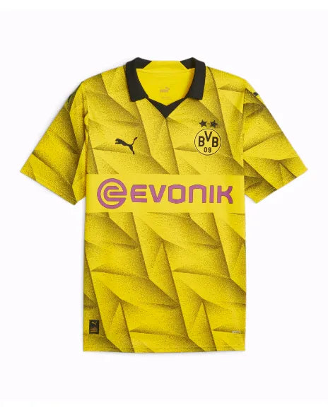 Dortmund 2023/2024 Tercera